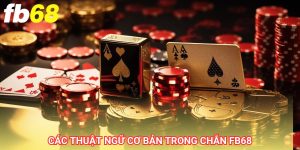 Các thuật ngữ cơ bản trong Chắn fb68